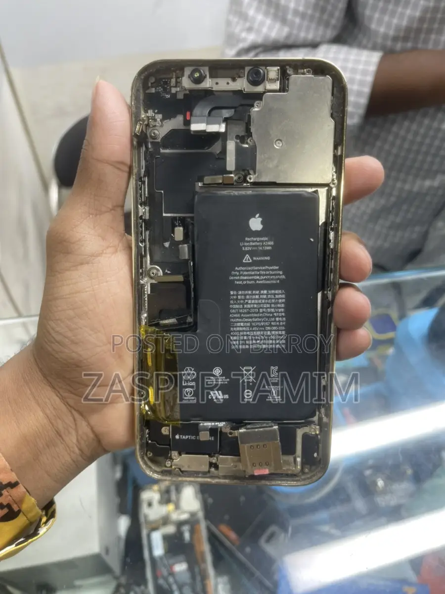 Apple iPhone 12 Pro Max বডি