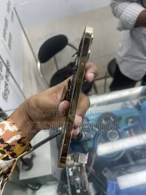 Apple iPhone 12 Pro Max বডি