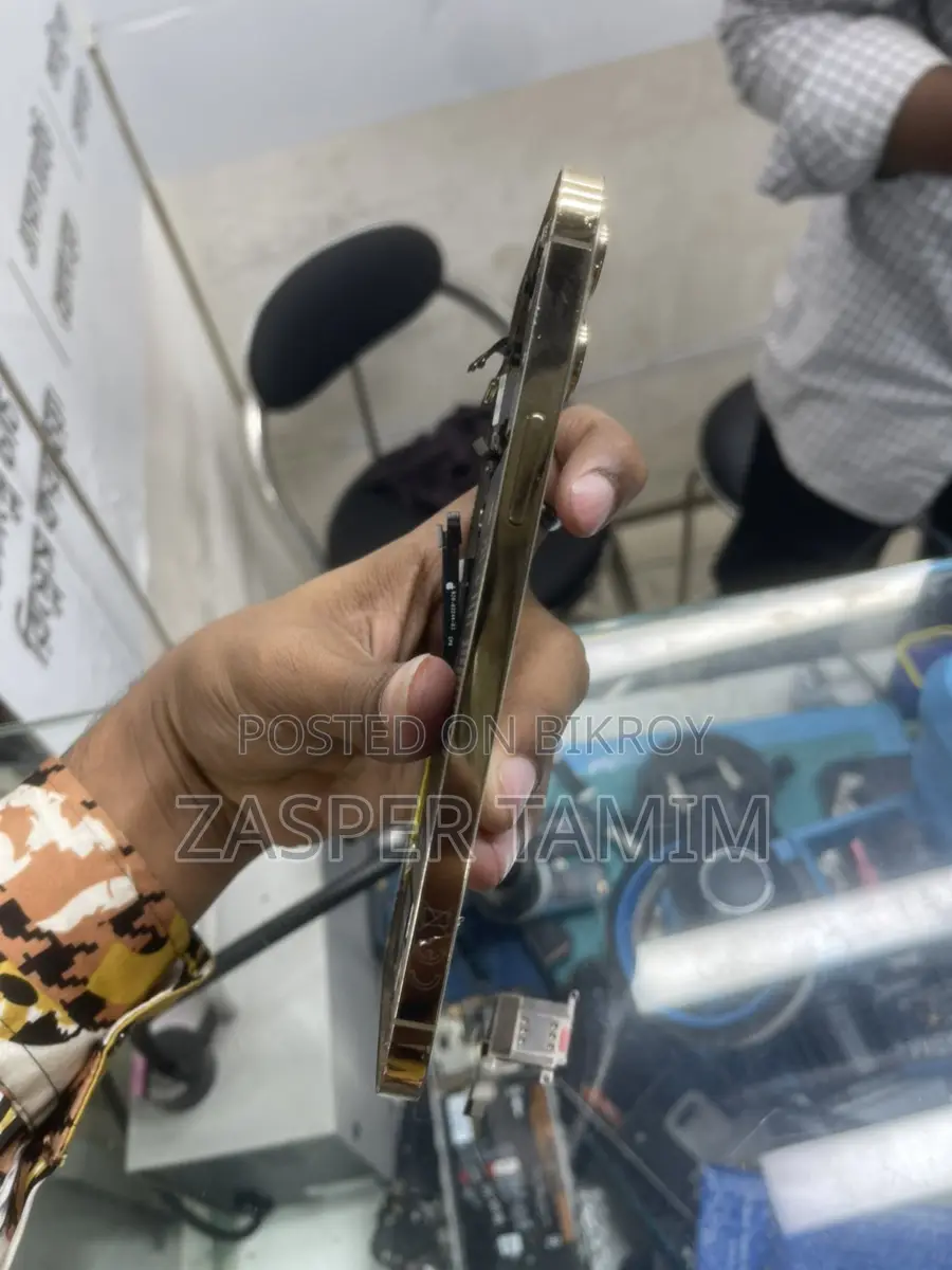 Apple iPhone 12 Pro Max বডি