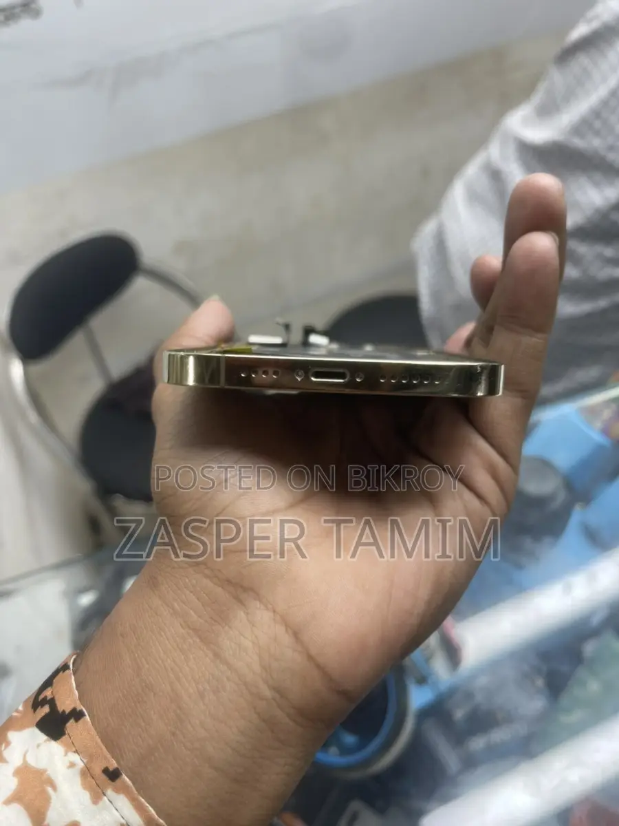 Apple iPhone 12 Pro Max বডি