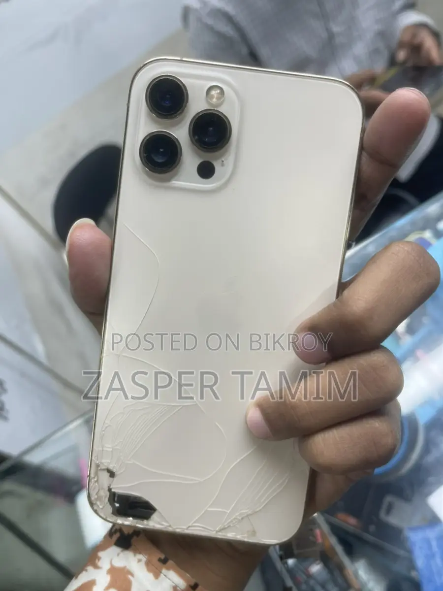 Apple iPhone 12 Pro Max বডি