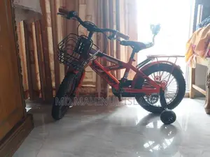 Phoenix বাচ্চাদের সাইকেল (৪ চাকার)
