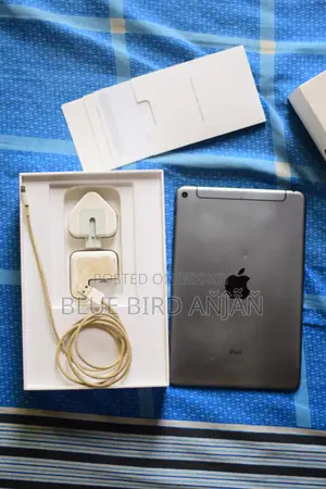 Apple iPad mini 5 256 GB Gray