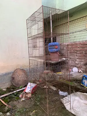 পাখির খাঁচা