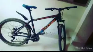 Phoenix Cycle
