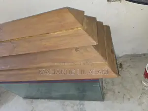 Fish Aquarium