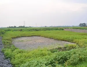 নিষ্কন্টক ধানি জমি বিক্রি