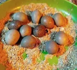 European White Giant Quail Hatching Eggs