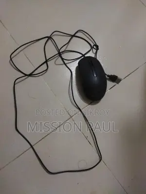 মাউস, স্পিকার