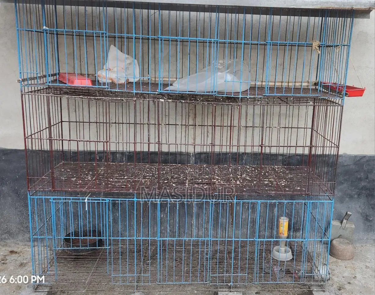 2 Chicken or Pigeon Cages for Sale