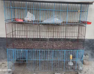 2 Chicken or Pigeon Cages for Sale