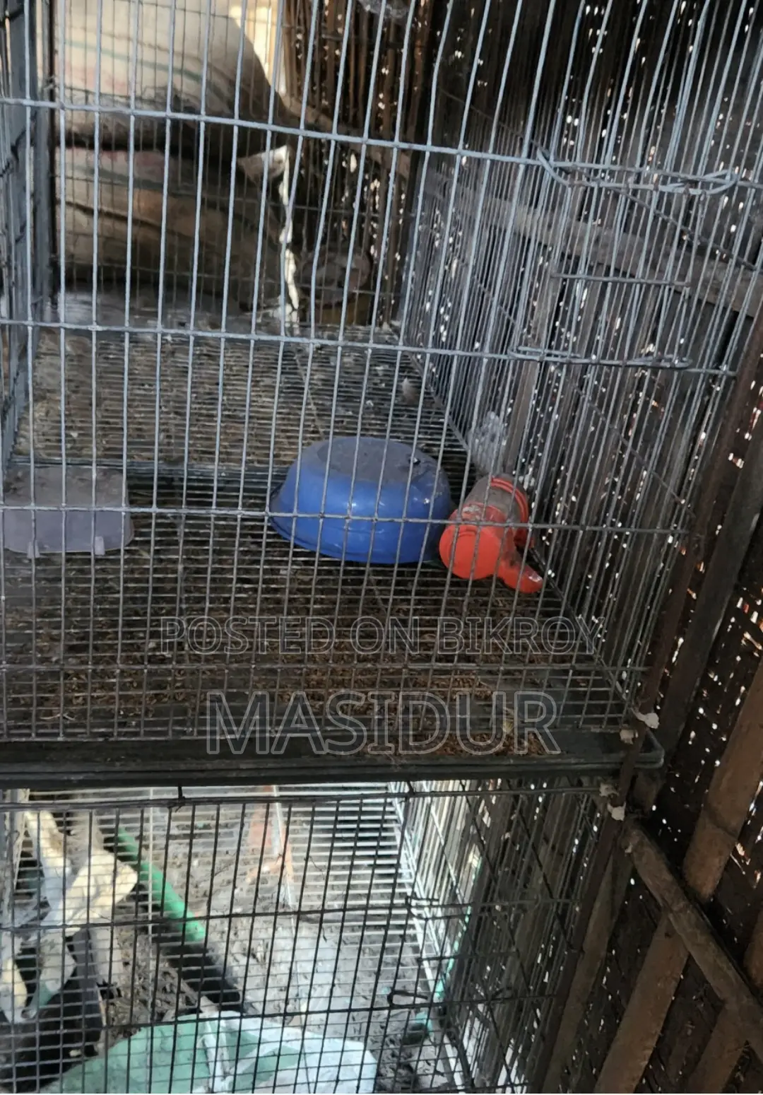 2 Chicken or Pigeon Cages for Sale
