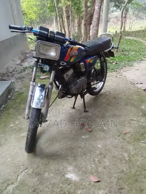 Yamaha RX100 2001