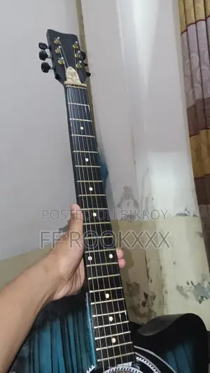 Brand New Guitar Used Only Once