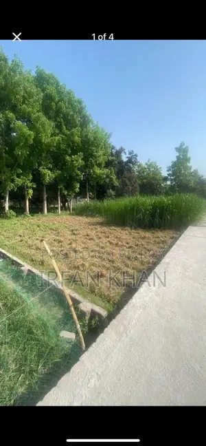 Land for sale