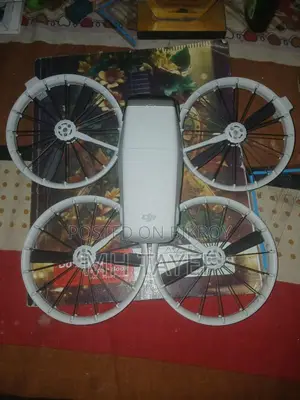 DJI Flip
