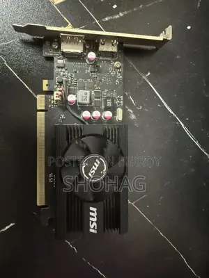 GeForce GT 1030 2GD4 LP OC