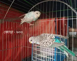সেল করবো