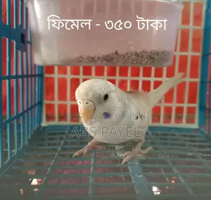 সেল করবো