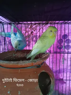 সেল করবো
