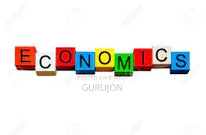 ECONOMICS HOME TUTOR FROM ACADEMIA