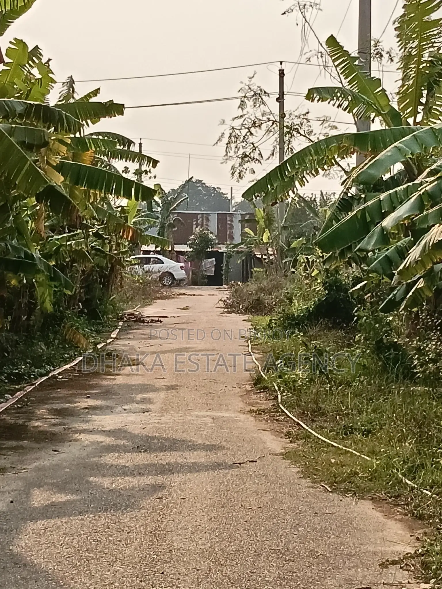 Sector-29, 54ft×30ft, Road Corner 5 Katha