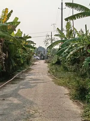 Sector-29, 54ft×30ft, Road Corner 5 Katha