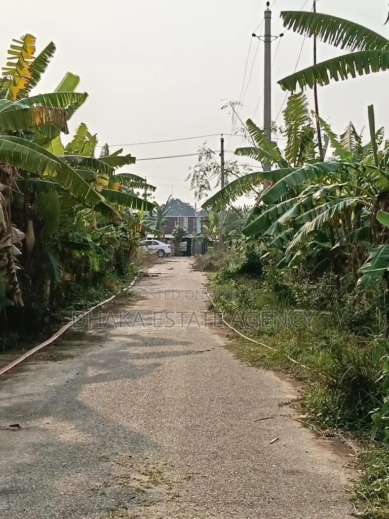 Sector-29, 54ft×30ft, Road Corner 5 Katha