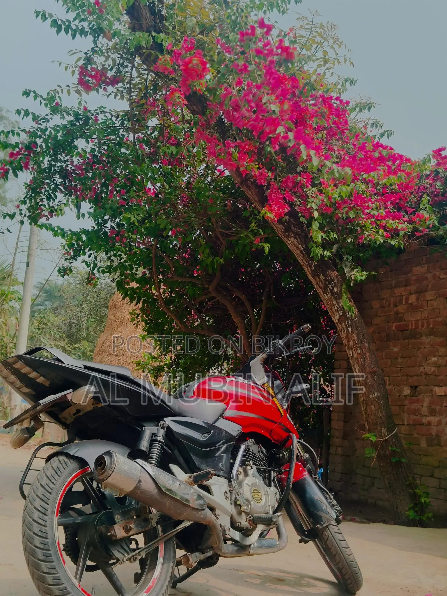 Bajaj Pulsar 150 . 2010