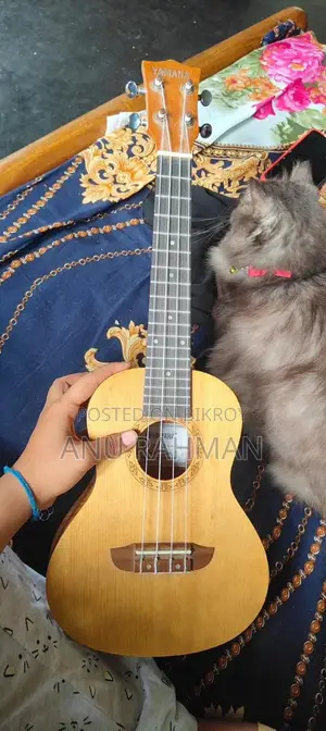 Ukulele for Sale