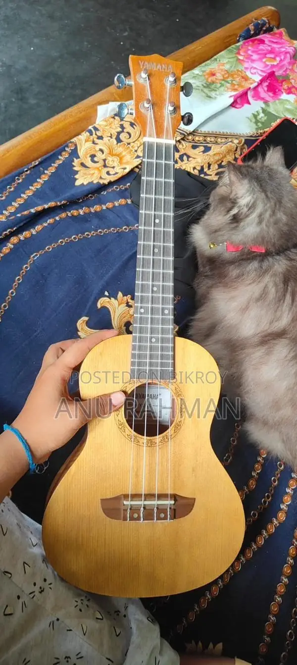 Ukulele for Sale