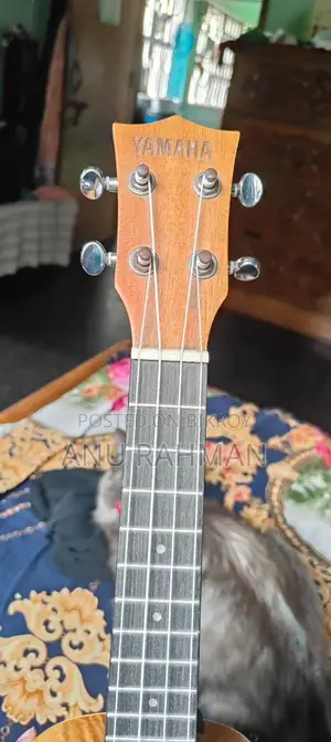 Ukulele for Sale
