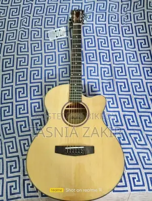 Premium Acoustic Guitar