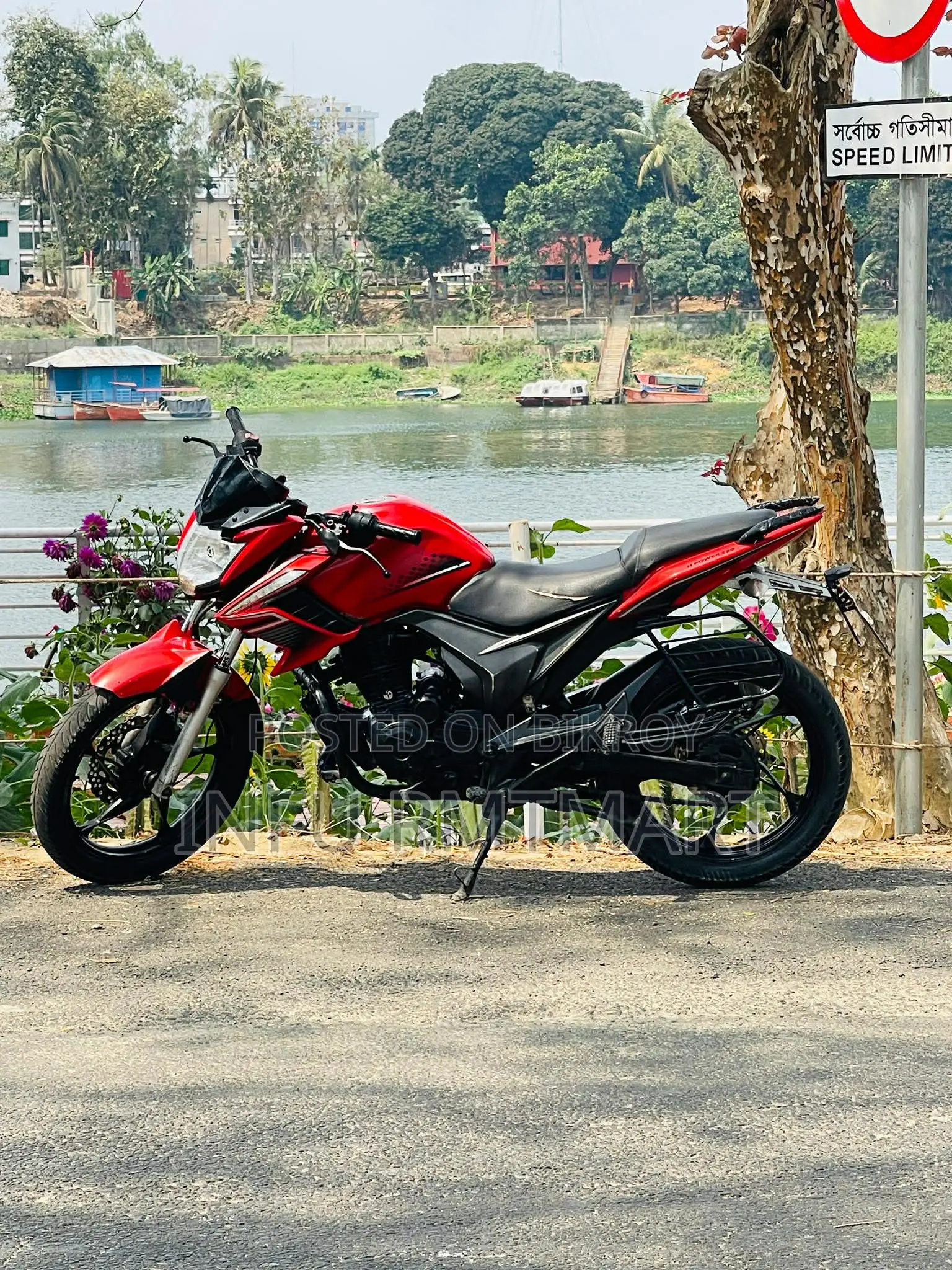 Roadmaster Rapido All oke ache 2019