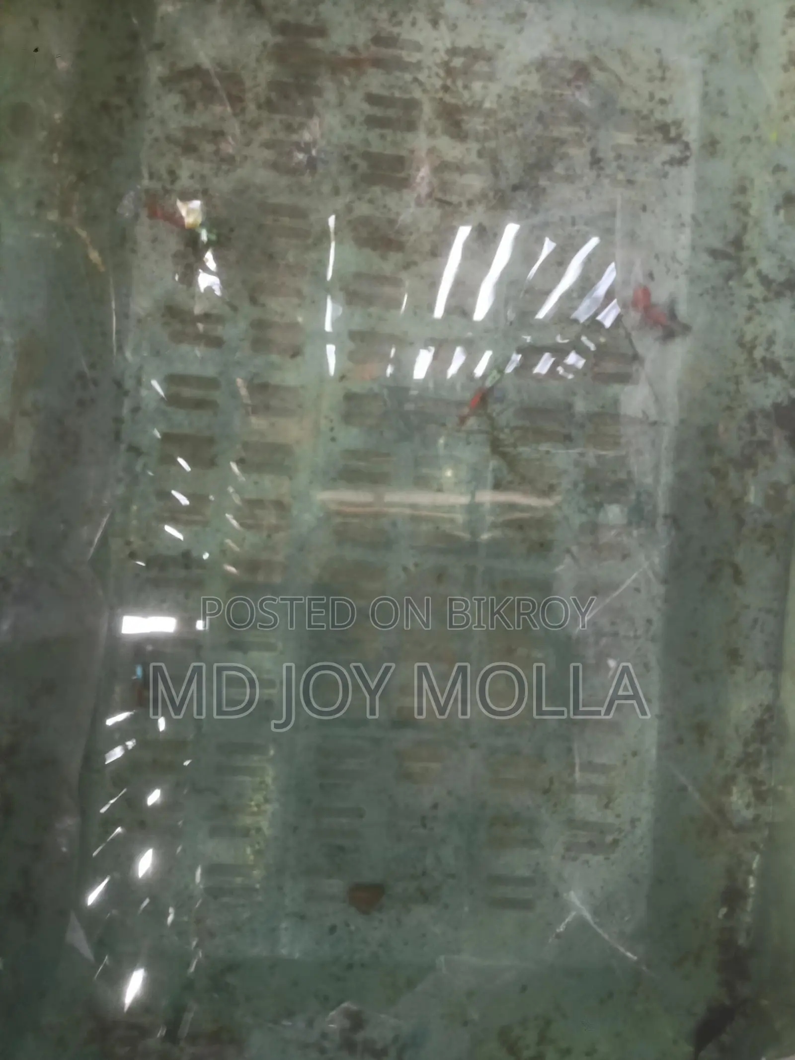 Rtp Fish