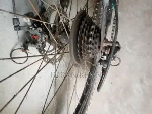 Duranta Bicycle for Sale
