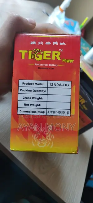 12 Volt Battery