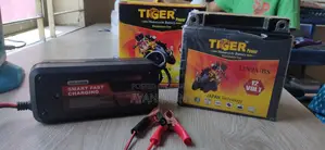 12 Volt Battery