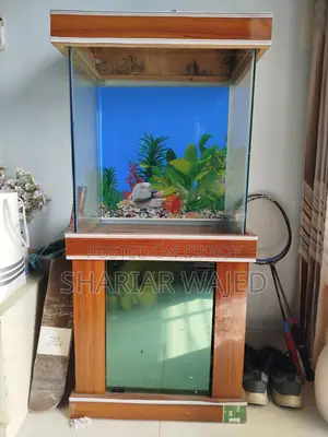 18x12 Inch Aquarium at Best Condition
