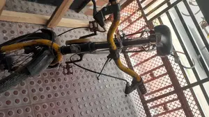 Duranta Bicycle for Sale