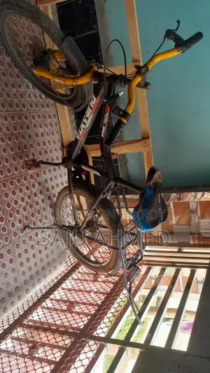 Duranta Bicycle for Sale