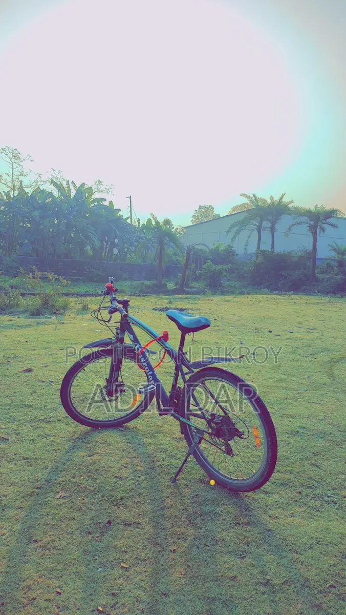 Duranta Muscular 26. For Urgent Sale