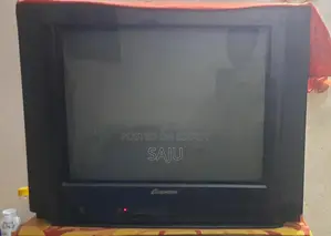Goldvision 21" Flat Monitor