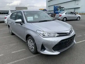 Toyota Axio Non Hybrid EX Silver 2021