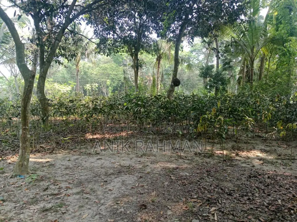 বাড়ি করার উপযোগি ১০ শতক জমি বিক্রয় করা হবে