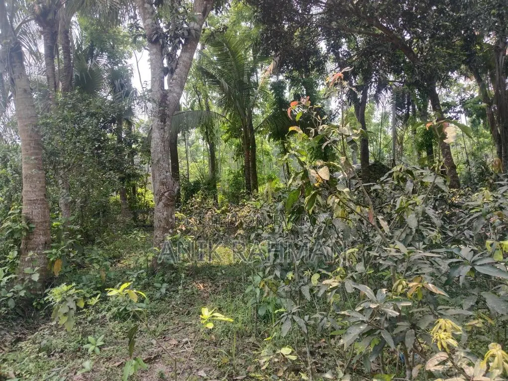 বাড়ি করার উপযোগি ১০ শতক জমি বিক্রয় করা হবে