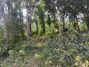 বাড়ি করার উপযোগি ১০ শতক জমি বিক্রয় করা হবে