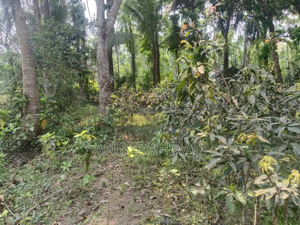 বাড়ি করার উপযোগি ১০ শতক জমি বিক্রয় করা হবে