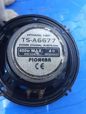 Pioneer Sound Speaker