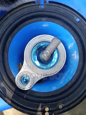 Pioneer Sound Speaker